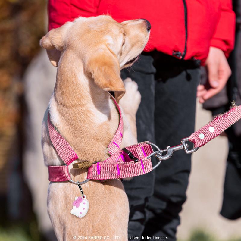 Accessories Sanrio Hello Kitty 50th Anniversary AirTag Cases  Saudi Arabia |  VQ7896102