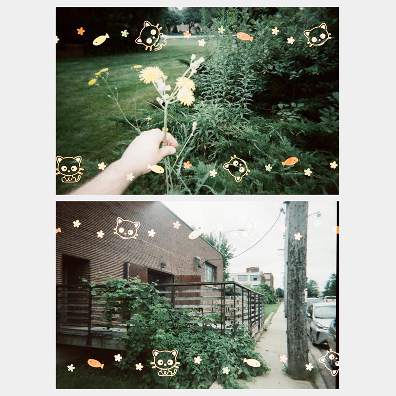 Sanrio Characters Sanrio Chococat 35mm Special Border Film  Saudi Arabia |  KR5602841