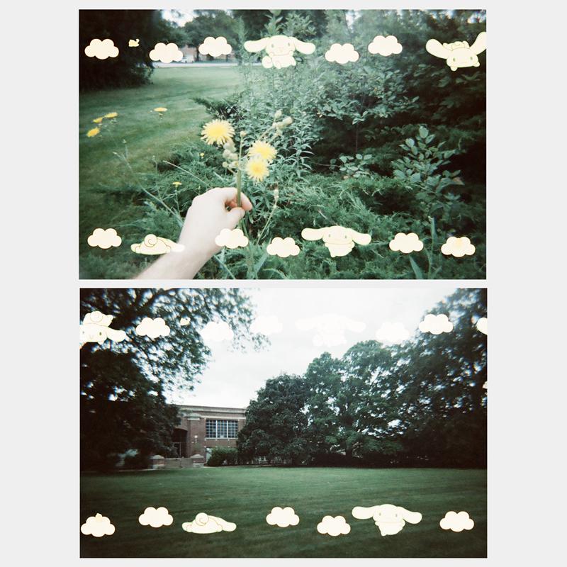 Sanrio Characters Sanrio Cinnamoroll 35mm Special Border Film  Saudi Arabia |  OD5903826