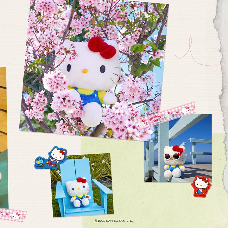 Sanrio Characters Sanrio Hello Kitty 10