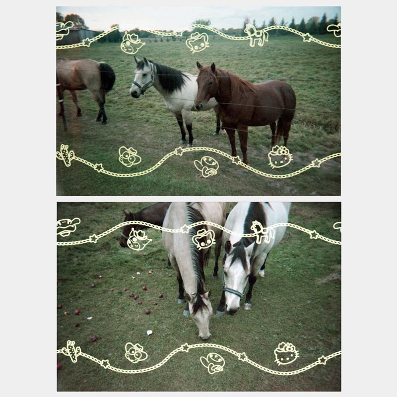 Sanrio Characters Sanrio Hello Kitty and Friends Howdy Partner 35mm Special Border Film  Saudi Arabia |  MG5640739