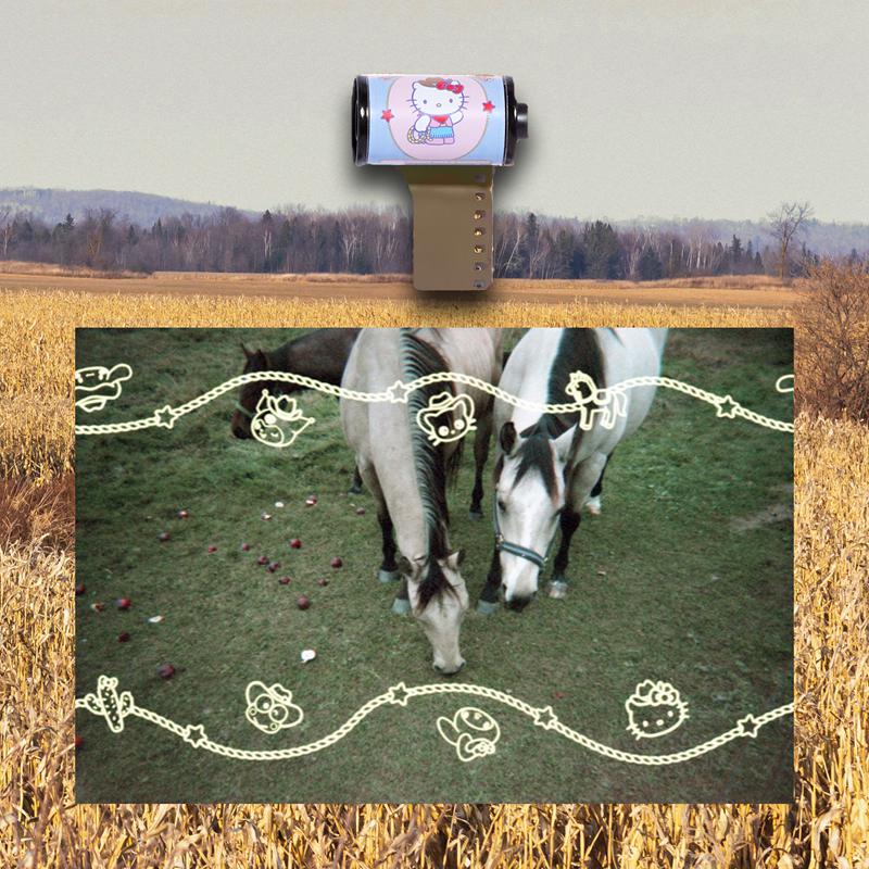 Sanrio Characters Sanrio Hello Kitty and Friends Howdy Partner 35mm Special Border Film  Saudi Arabia |  MG5640739