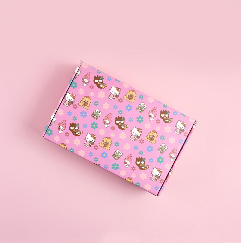 Sanrio Characters Sanrio Hello Kitty x Erin Condren Special Edition Gift Box  Saudi Arabia |  CA5183769
